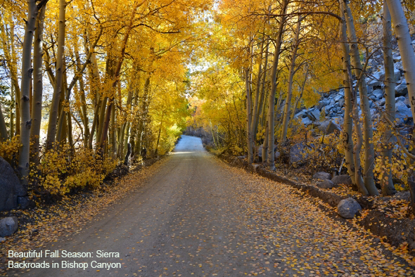 Fall Bishop Canyon